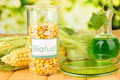 Binley biofuel availability